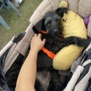 개릿뷰티 이미지