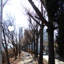 1.12 (목) 와룡산-충훈공원-꽃매산~~~~작은새 이미지