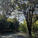 잠일초등학교(내) | 잠실 임장 (2) 아시아선수촌, 우성아파트 보고 드디어 헬리오시티