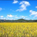 울진평해우체국 이미지