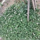 죠이월드 이미지