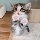 한결메디케어 이미지