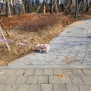 충민로6길 이미지