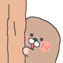 대손족발 이미지