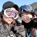 웅비목장 이미지