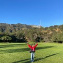 삼보서울민박cafe | 미국여행 6박7일 DAY1 [LA:폴하우스-UCLA-더게티-할리우드사인-그리피스천문대] / 치폴레&amp;데이브스핫치킨