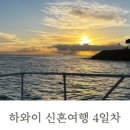 팜스타마트 이미지