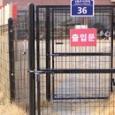 더멍멍컴퍼니 네이버블로그