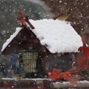 버스정류소_한라병원 이미지