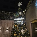 명동스낵 | [르메르디앙 명동] 클럽라운지 이브닝 오브되브르 / 올데이스낵 임산부 호캉스 만족 후기🍸