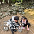 충주박물관 화장실(2개) | '충주 소나무 숲아래 계곡' 아이와 함께 가기 좋은 평상 대여 계곡 후기 및 준비물