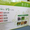엘샤론코리아 네이버블로그