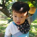 수곡농원 이미지