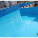 토마토빌리지펜션 이미지