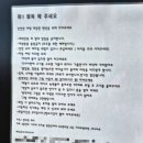 밀트 | 포항 | 호미곶면 럭셔리 포항 풀빌라 밀트풀빌라 후기