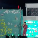 태화강라이브 이미지