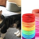 오지랖차수리 이미지