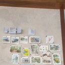 새롬동_새롬중학교(건너편) 이미지