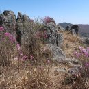 유가사 주차장(구) 이미지