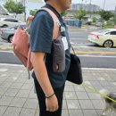 강아지마을펫택시 이미지