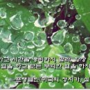 근면