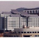 태양이용 이미지