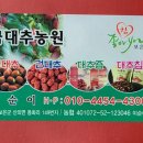 금대추농원