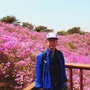 신촌마을회관 | 강화 가볼안한곳 고려산진달래축제 청련사