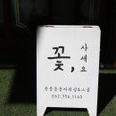 쏭블룸 이미지