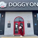 도기온 (doggyon) 이미지
