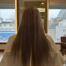 신사역미용실 아베다크리닉 라리엔 헤어샵 후기