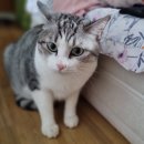 오거리동물약국 이미지