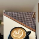 코모커피 | 제주 신상 카페도련일동 삼화지구 애견동반 가능한 코모커피 | @como.coffee.jeju