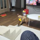 조하농장