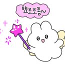풍성란 이미지