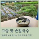 고향맛손칼국수 이미지