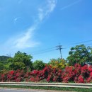 안산화신수산시장관리사무소 | (인천 경기 당일치기 여행) 궁평항 맛집 30년 전통 호박돌 간장게장, 제부도, 대부도(+일몰사진추가...