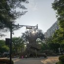 벌말어린이공원 | 벌말어린이공원 어린이 놀이터 추천 _ 서울 강북구