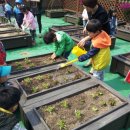 안양농장 이미지