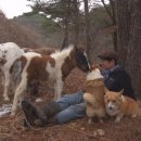 마장농장 이미지