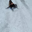 펜션 울릉도 | 울릉도숙소 울릉도 감성 독채 펜션 스테이 태연 후기를 남깁니다