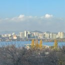 강변공영주차장 | 여의도 한강뷰 카페 <강변서재> 내돈내산 솔직후기