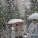 비가와