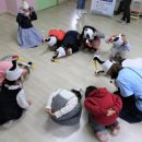 보물섬어린이집 이미지