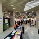 타요타요 펫택시 이미지