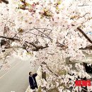 색달동-19 이미지