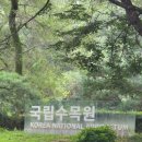 수목원 입구 | 광릉 국립수목원 | 예약 방법. 이용 요금. 관람 후기