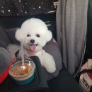 트리밍매직