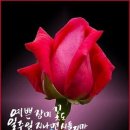 하늘마을로 이미지