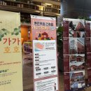 가가호호 이미지